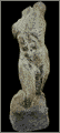 Torzo